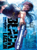 書店キャンペーンでもらえる着せ替えカバーの1種。