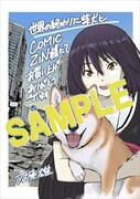 COMIC ZIN特典
