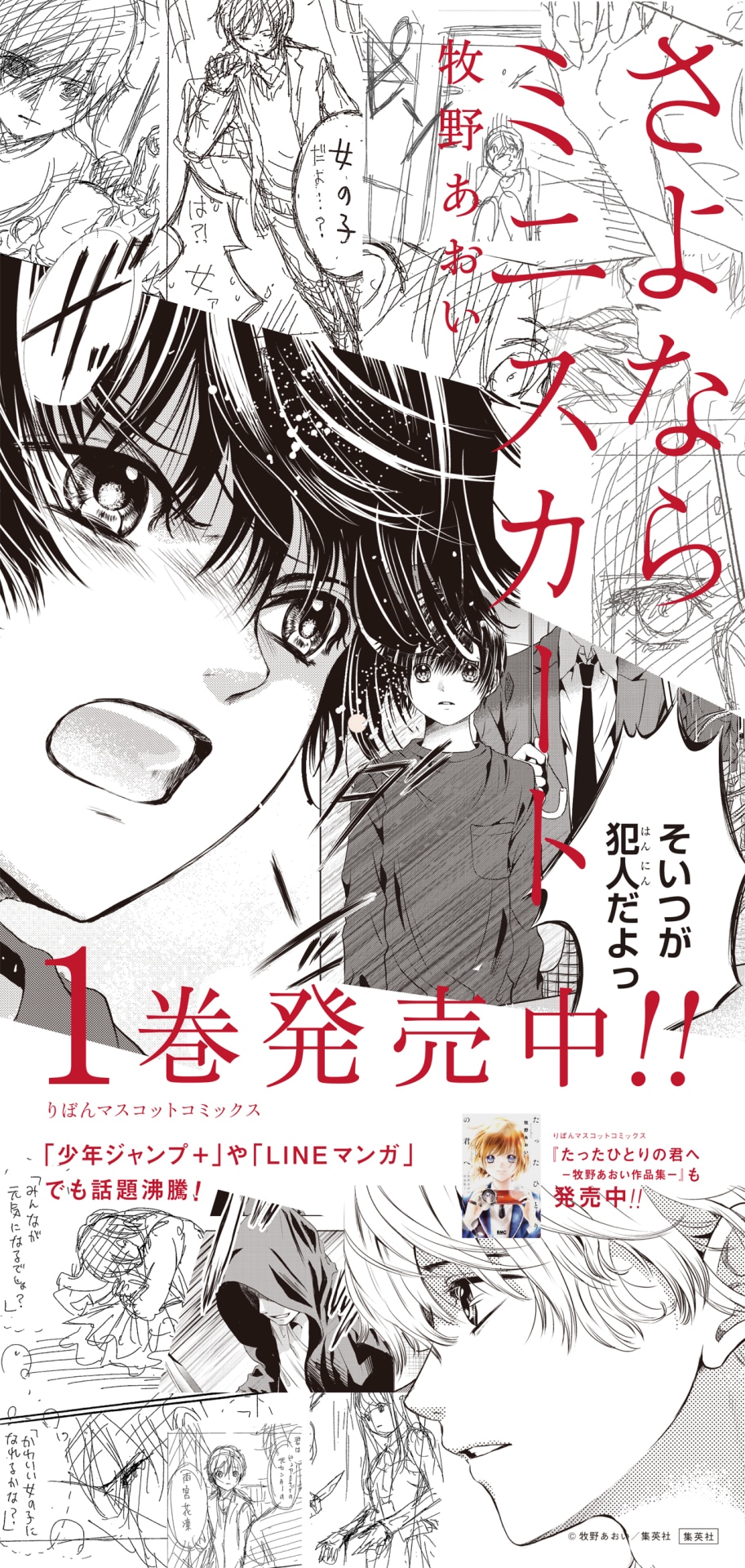 「さよならミニスカート」の広告。(c)牧野あおい/集英社