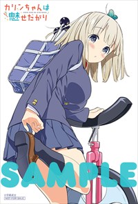 とらのあな特典のサンプル。