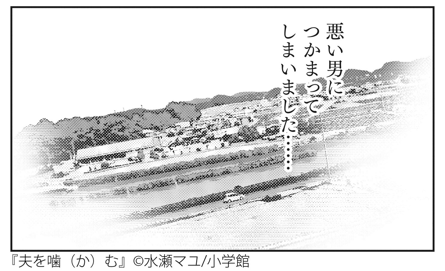 水瀬マユ「夫を噛（か）む」より。