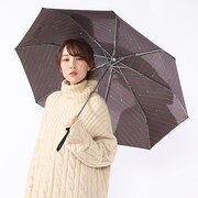 流星隊モデルの使用例。