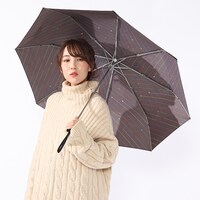 流星隊モデルの使用例。