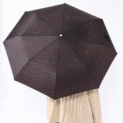 流星隊モデルの使用例。