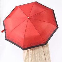 紅月モデルの使用例。