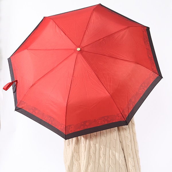 紅月モデルの使用例。