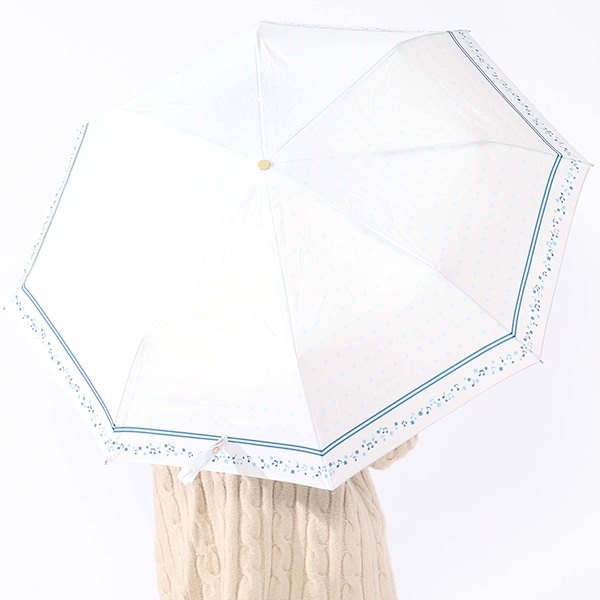 Ra*bitsモデルの使用例。