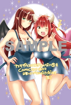 COMIC ZIN特典