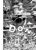 「BIBLIOMANIA」より。