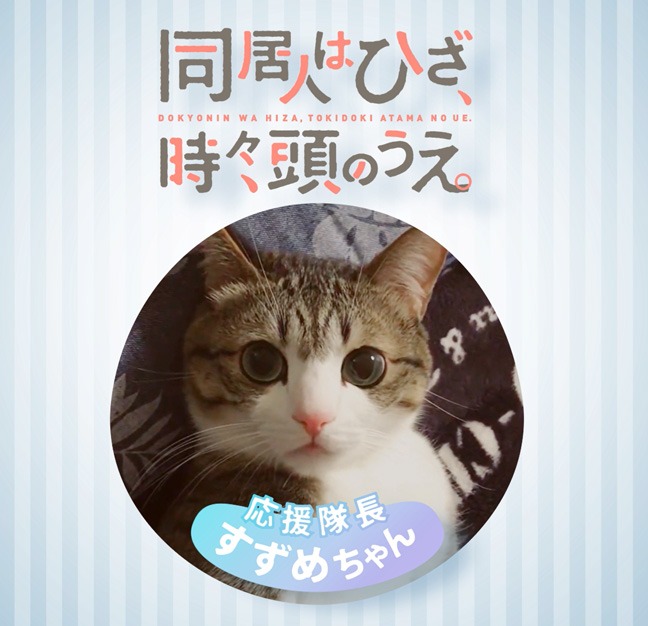 猫のすずめ