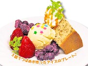 「ふわふわシフォンとアイスのプレート」