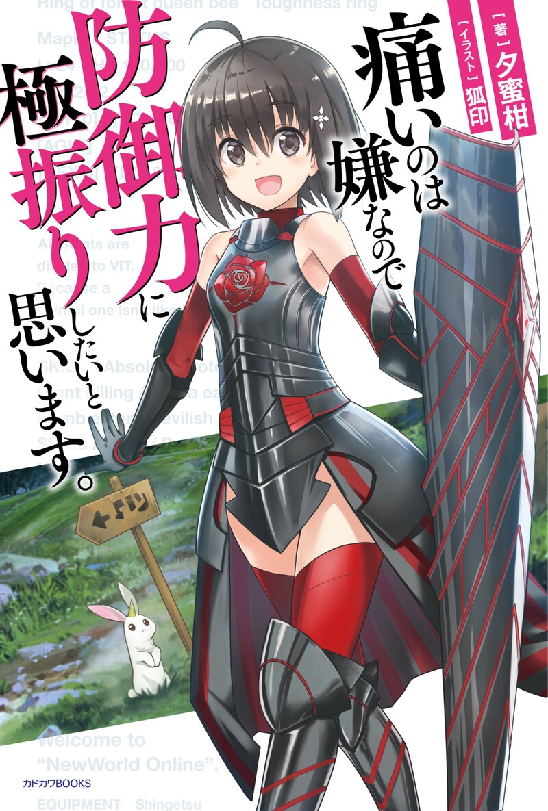 小説「痛いのは嫌なので防御力に極振りしたいと思います。」1巻