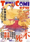 テヅコミVol.3（通常版、帯あり）