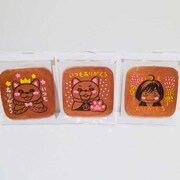 「3月のライオン×銀座松崎煎餅 コラボ三味胴セット」より。