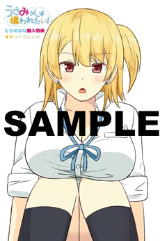 とらのあな特典