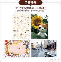 東京会場の予約特典として用意されたポストカード。