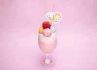 「ハムガール スムージー」