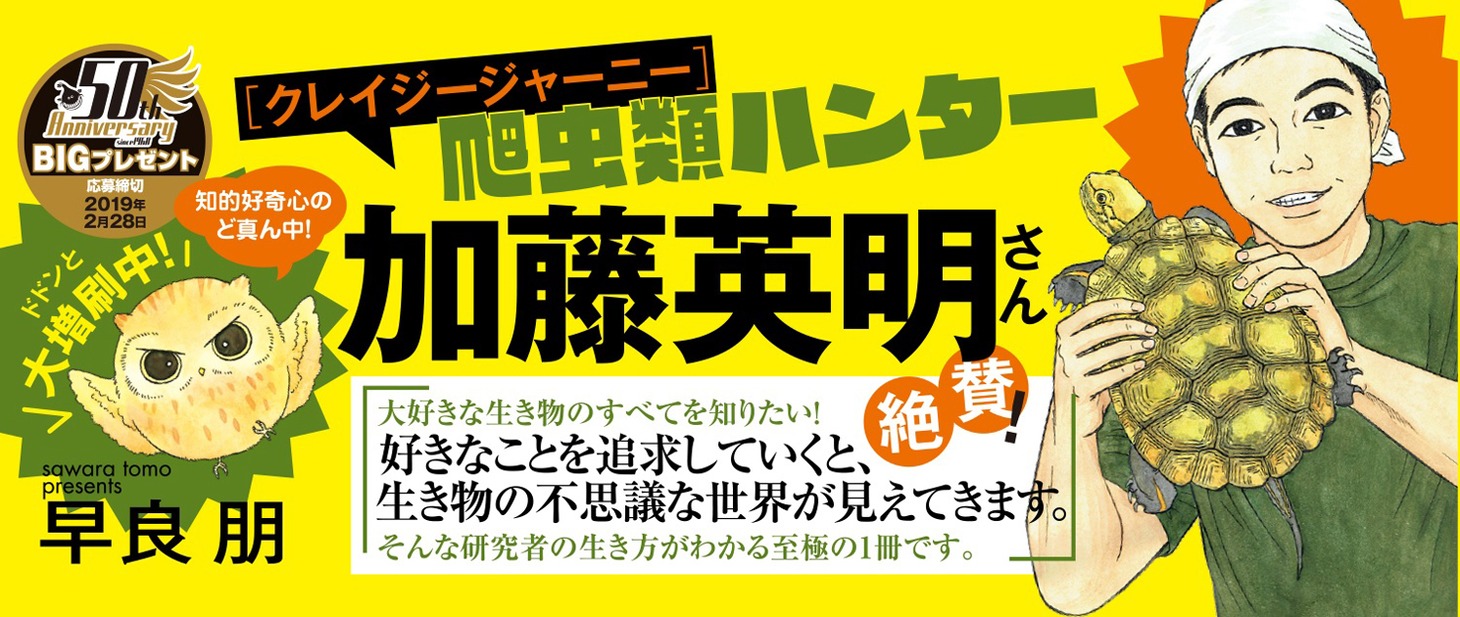 「へんなものみっけ！」3巻の帯より。