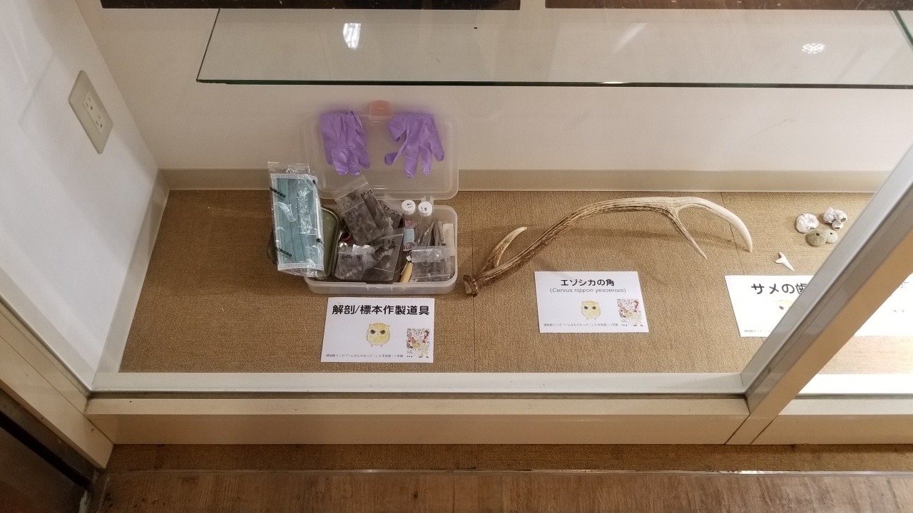 有隣堂の神奈川・横浜駅西口コミック王国店にて開催されている原画展より。
