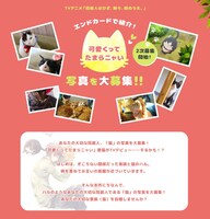 視聴者投稿企画の詳細。