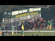 「NEW TYPE MOVIE」より。