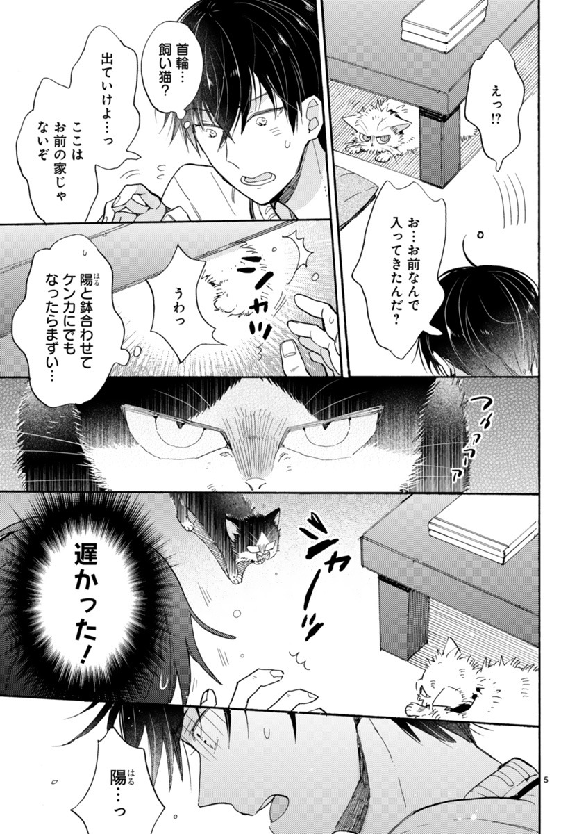 「同居人はひざ、時々、頭のうえ。」より。