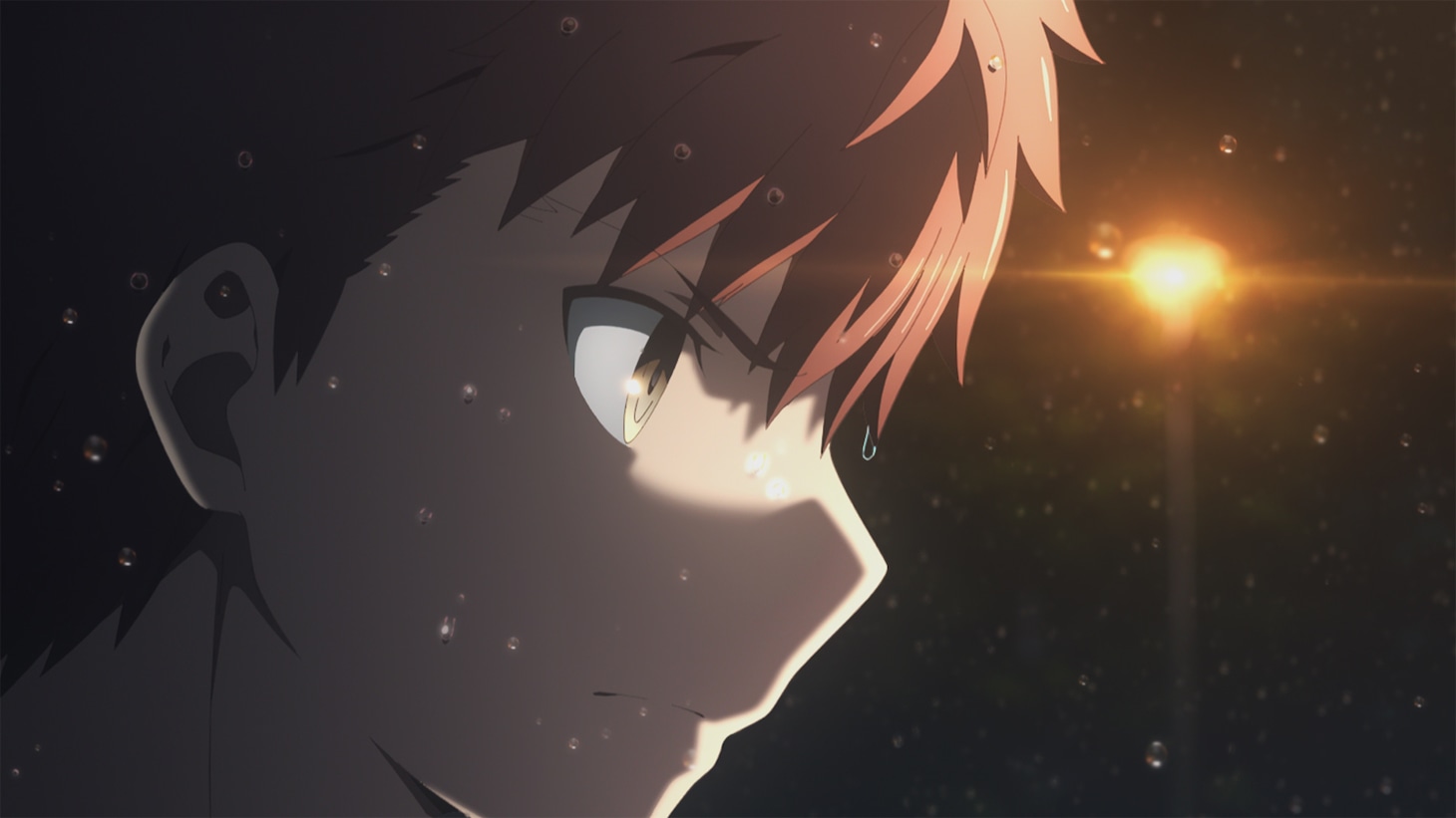 「『Fate/stay night[Heaven's Feel]』II.lost butterfly」予告映像より。