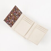 ロシアモデルの財布。