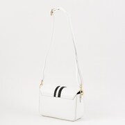 日本モデルのバッグ。