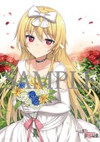 「コミックマーケット95」で販売されるグッズより、「B1タペストリー」。