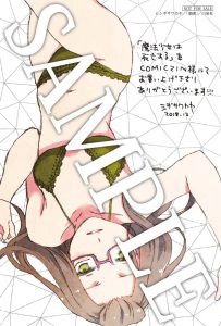 COMIC ZIN特典
