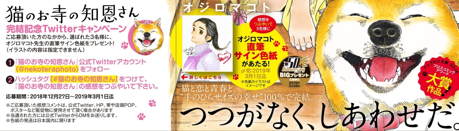 「猫のお寺の知恩さん」9巻の帯。