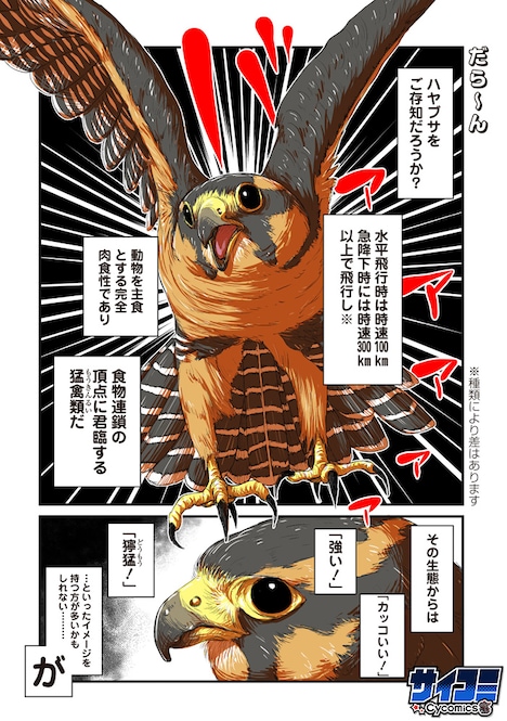 「だらけハヤブサとだらだら生活」より。