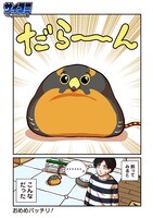 「だらけハヤブサとだらだら生活」より。