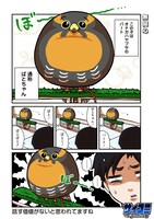 「だらけハヤブサとだらだら生活」より。