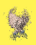 「サトシ・ナカモトの肖像（レモン）」