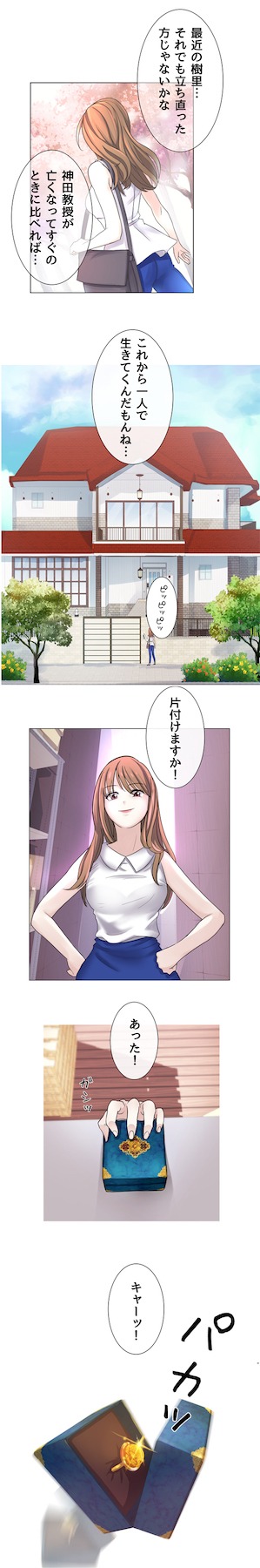 「琥珀のご主人様」より。