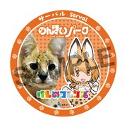 コラボ缶バッジ（サーバル）。