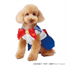 「美少女戦士セーラームーン なりきりウェア セーラームーン」