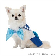 「美少女戦士セーラームーン なりきりウェア セーラーマーキュリー」