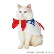 「美少女戦士セーラームーン なりきりケープ セーラームーン 」