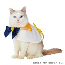 「美少女戦士セーラームーン なりきりケープ セーラーヴィ―ナス」