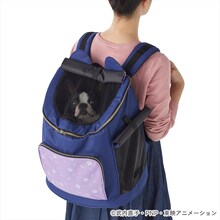 「美少女戦士セーラームーン リュックキャリー ルナ」