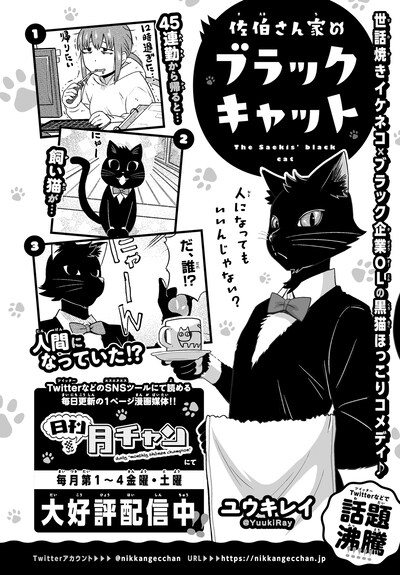 「佐伯さん家のブラックキャット」告知