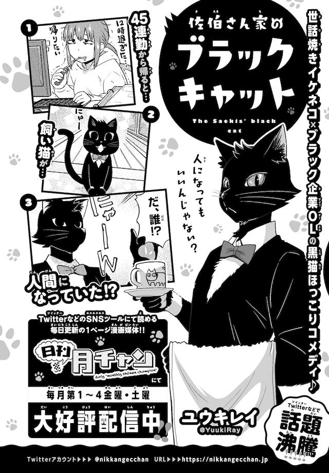 「佐伯さん家のブラックキャット」告知