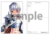 「今まで一度も女扱いされたことがない女騎士を女扱いする漫画」1巻のWonderGOO購入特典。