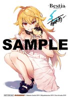 ゲーマーズ特典