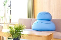 クッション2種の使用例。