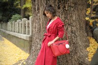 犬夜叉モデルのバッグ使用イメージ。