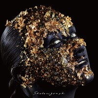 MYTH & ROID「shadowgraph」ジャケット